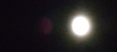Enlarge photo 344