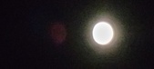 Enlarge photo 346