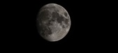 Enlarge photo 348