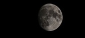 Enlarge photo 347