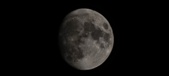 Enlarge photo 350