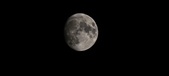 Enlarge photo 351