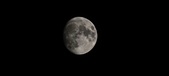 Enlarge photo 352