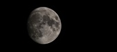 Enlarge photo 355