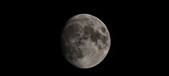 Enlarge photo 358