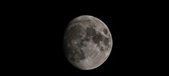 Enlarge photo 359