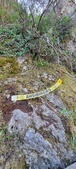 Enlarge photo 61