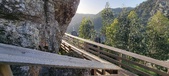 Enlarge photo 38