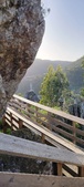 Enlarge photo 39