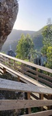 Enlarge photo 65