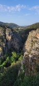 Enlarge photo 85