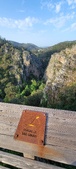 Enlarge photo 95