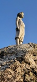Enlarge photo 110