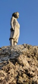 Enlarge photo 111
