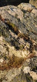 Enlarge photo 112