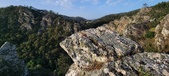 Enlarge photo 115