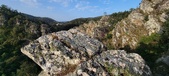 Enlarge photo 117
