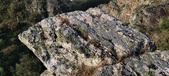 Enlarge photo 118