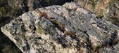 Enlarge photo 119