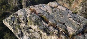 Enlarge photo 120