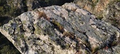 Enlarge photo 121