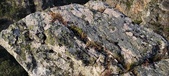 Enlarge photo 122