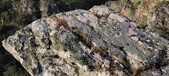 Enlarge photo 123