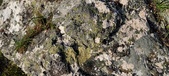 Enlarge photo 124