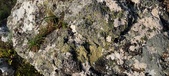 Enlarge photo 125