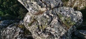Enlarge photo 126