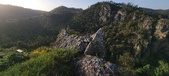 Enlarge photo 136