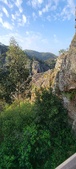 Enlarge photo 161