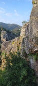 Enlarge photo 169
