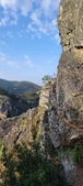 Enlarge photo 173