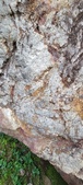 Enlarge photo 181