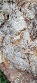 Enlarge photo 182