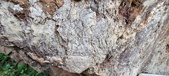 Enlarge photo 183