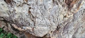 Enlarge photo 184