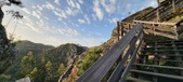 Enlarge photo 194