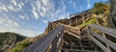 Enlarge photo 197