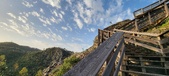 Enlarge photo 199