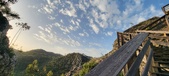 Enlarge photo 201