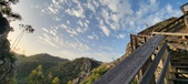 Enlarge photo 202