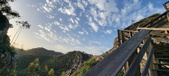 Enlarge photo 203