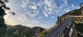 Enlarge photo 204
