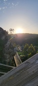 Enlarge photo 209