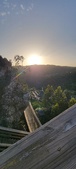 Enlarge photo 210