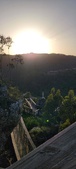Enlarge photo 213