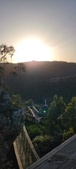 Enlarge photo 215
