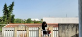 Enlarge photo 219